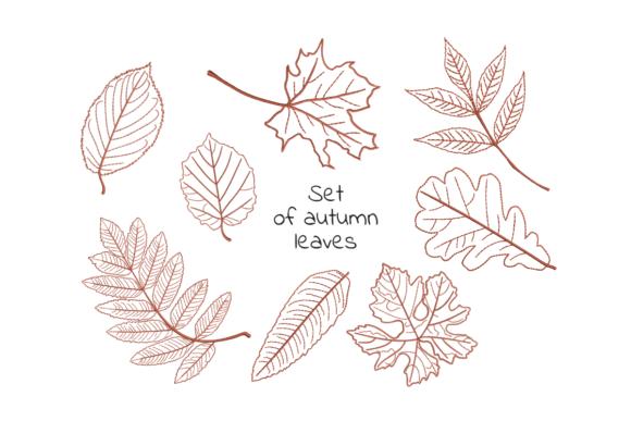 Autumn Falling Leaves: A Designer's Review for Holiday Sales